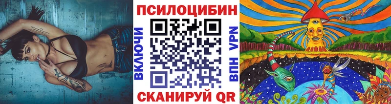 omg как зайти  Слюдянка  Псилоцибиновые грибы мицелий 